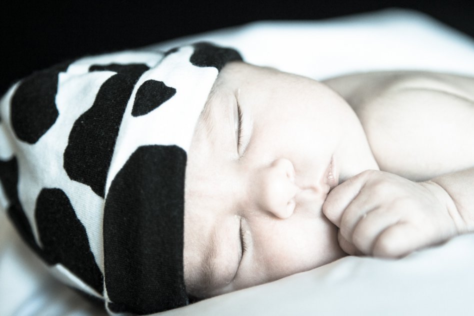 closeup portrait of newborn baby