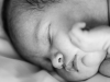 black and white portrait of newborn baby
